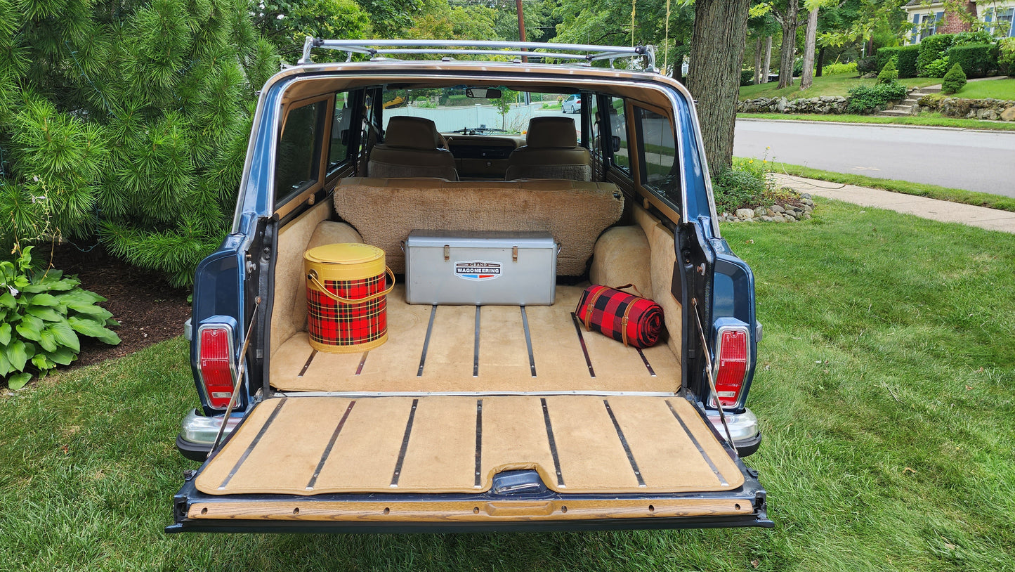 Tailgate window protector